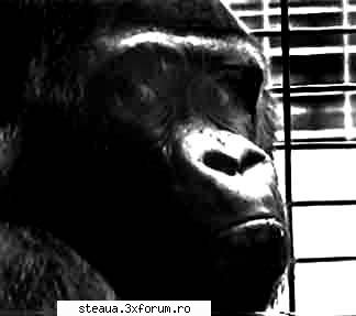 Africa, In The Earth And The Sky - Daca tot vrei sa pleci pe undeva, nu te duci in - Diverse